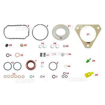 VE GASKET KIT MWM
