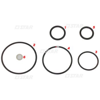 SEAL KIT BOOST CONTROL DELPHI