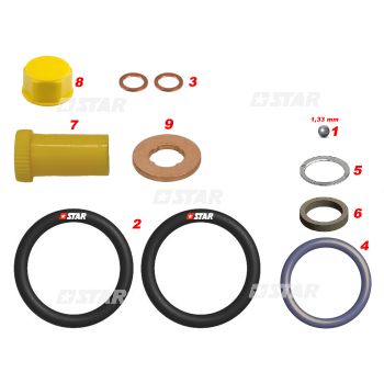 REPAIR KIT-INJ/C/R BH RENAULT
