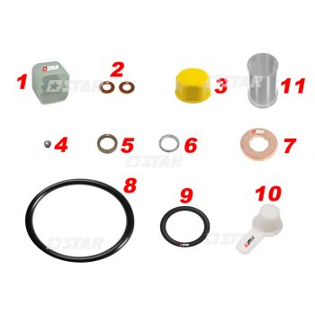 COMPL C/RAIL INJ/REPAIR KIT