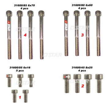PUMP SCREW SET BH-C/R CP2