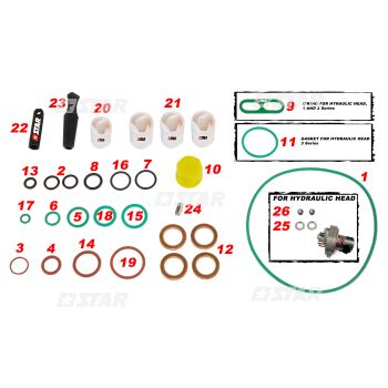 R/KIT DELPHI PUMP DFP1 C/R