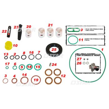 R/KIT DELPHI PUMP DFP1 C/R