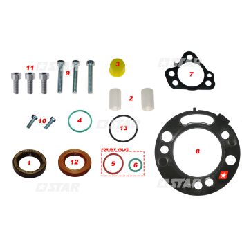 REP/KIT C/R DELPHI DFP6.1