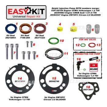 EASY KIT-DELPHI PUMP DFP6