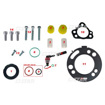 REP/KIT C/R DELPHI DFP6