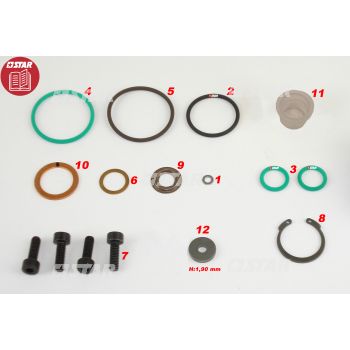 REPAIR KIT-LOMBARDINI FOCS