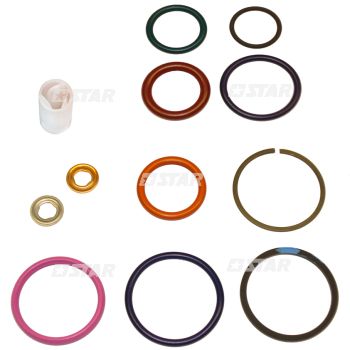 HEUI INJ/O-RING SET-EXT+INT