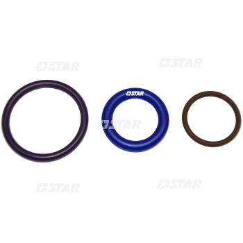 HEUI INJ/O-RING SET-INT/
