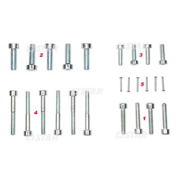 SCREW SET PUMP C/RAIL CAT