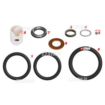 REPAIR KIT-INJ/C/R BH RENAULT