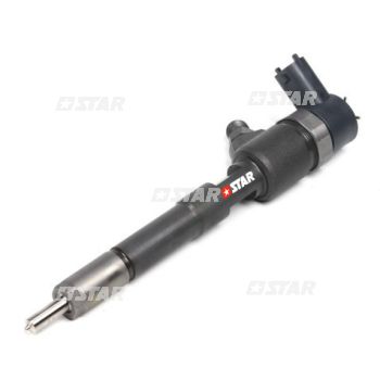 VALVE INJ/C-RAIL-BH