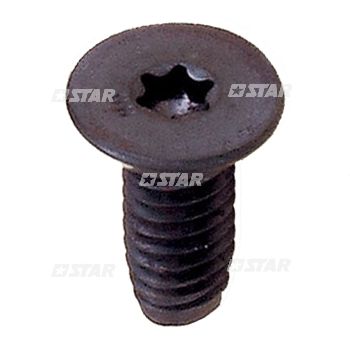 TORX SCREW-REGISTER PLATE