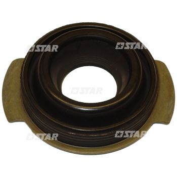 RETAINER INJ/C/R DELPHI FORD