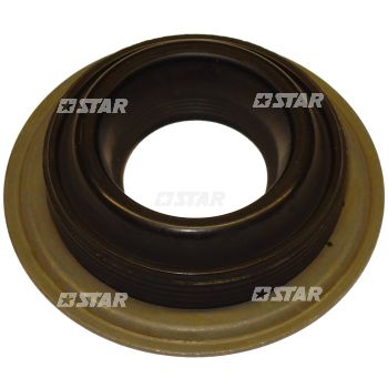 RETAINER INJ/C/R DELPHI FORD