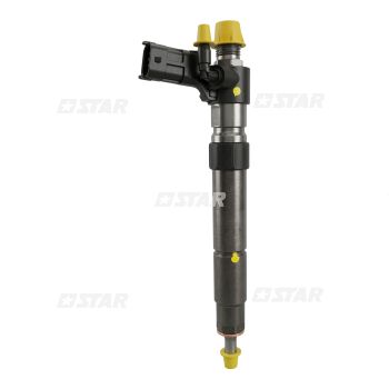 RETAINER INJ/C/R BH/DELPHI